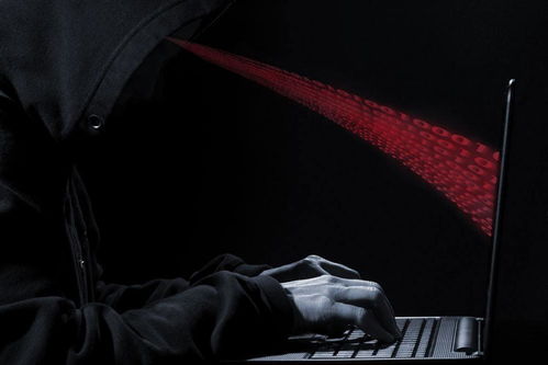 宝藏！免费黑客24小时在线接单平台，小白必看