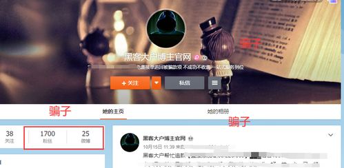 黑客追款提现APP平台：好用到哭的秘密