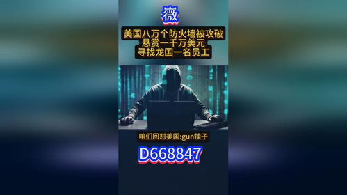 黑客24小时接单网站：小白必看的宝藏平台